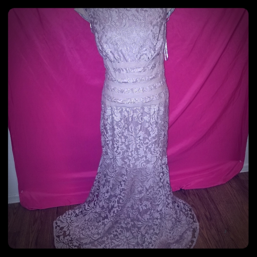 Tadashi shoji rose lace dress